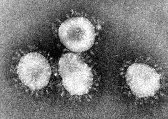 कोरोनावायरस Coronavirus