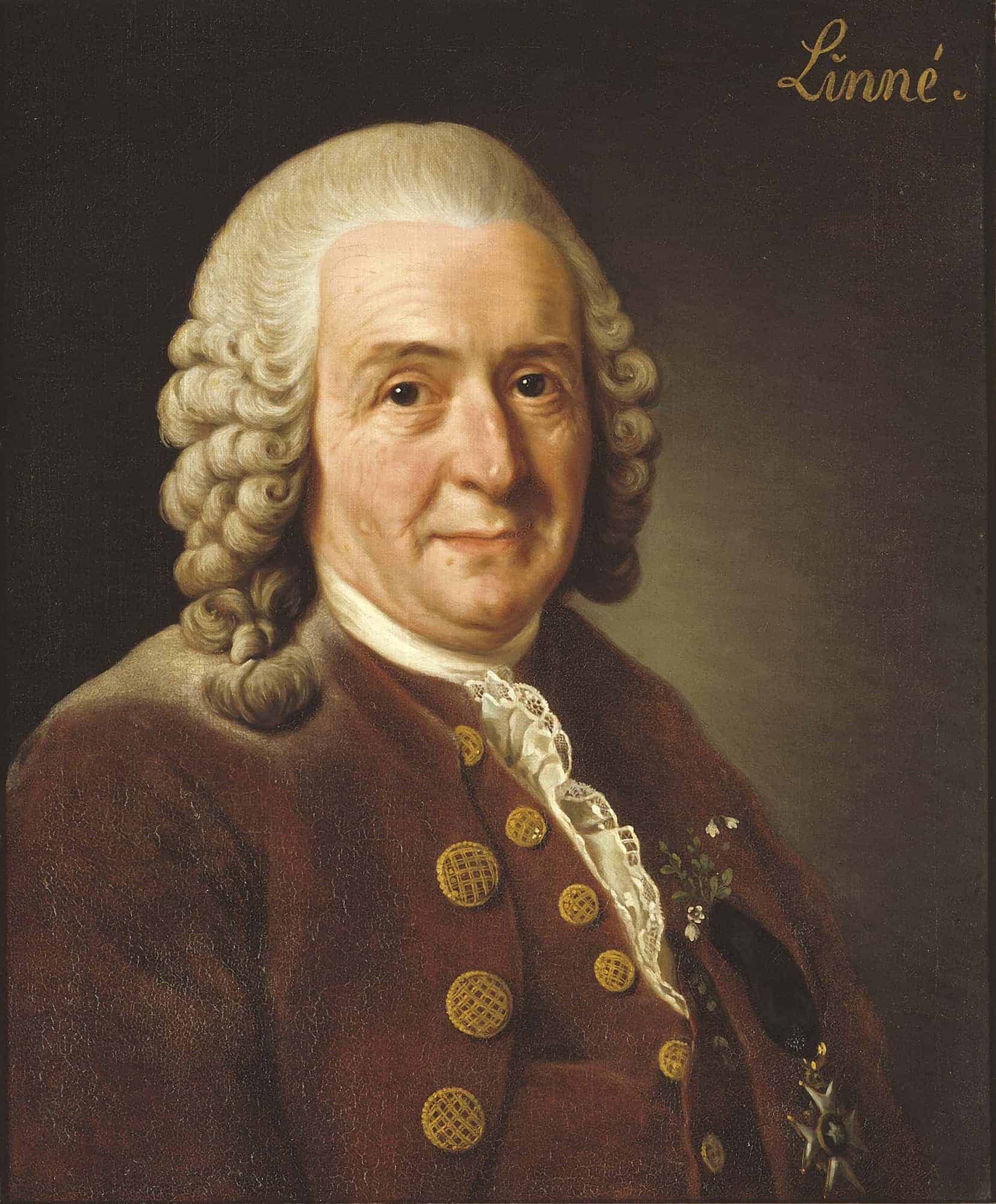 कार्ल लीनियस Carl Linnaeus