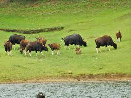 राजबारी नेशनल पार्क Rajbari National Park