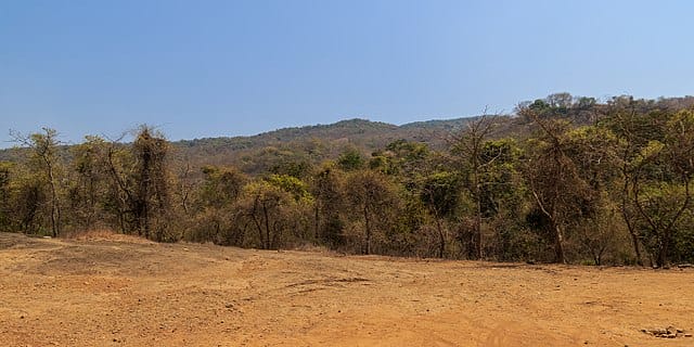 संजय गांधी राष्ट्रीय उद्यान Sanjay Gandhi National Park