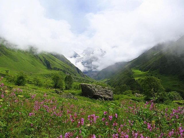 फूलों की घाटी राष्ट्रीय उद्यान Valley of Flowers National Park