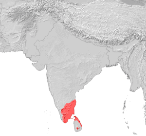 तमिल भाषा Tamil language