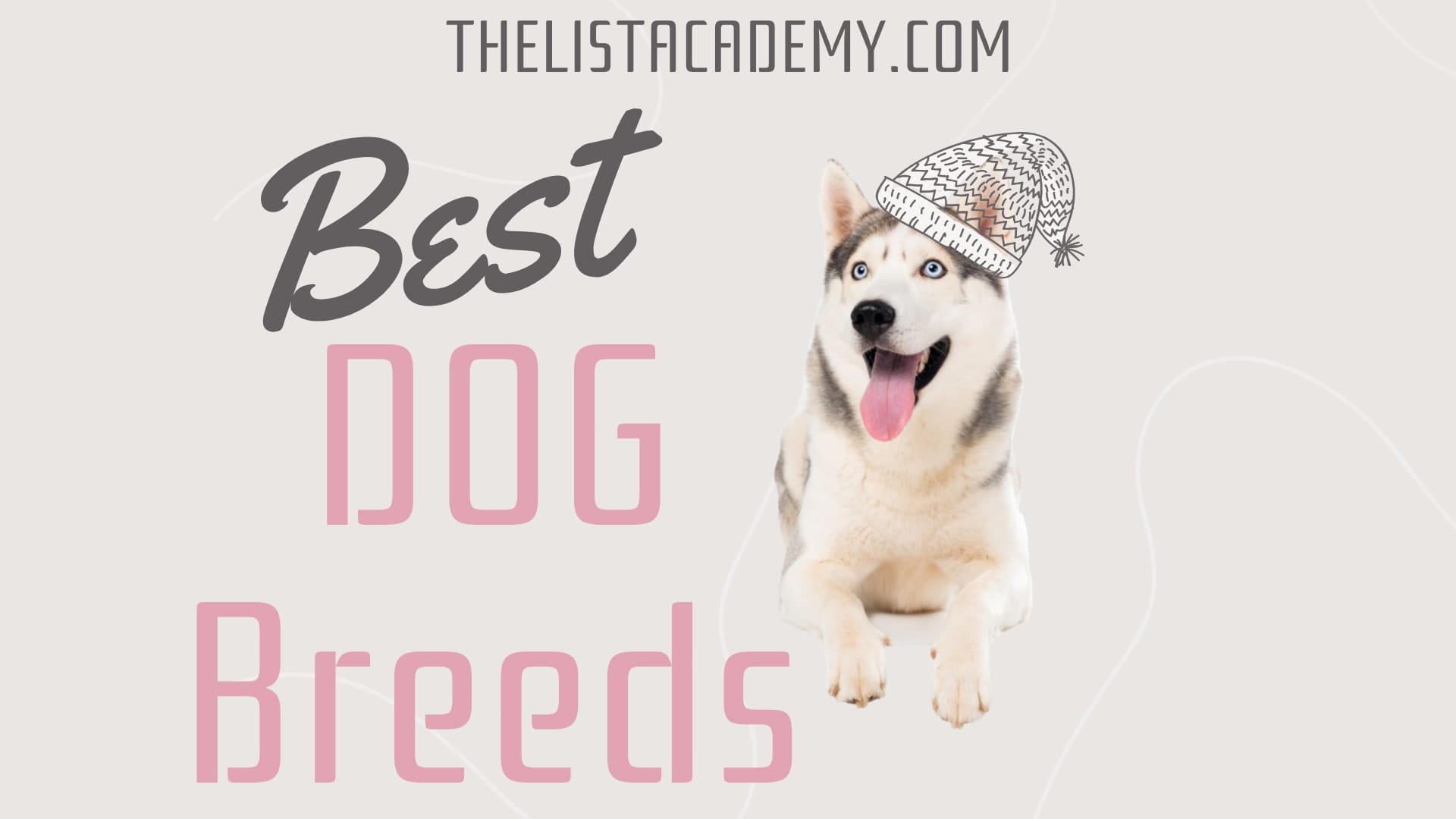 Cover Image For List : 185 Best Dog Breeds | Top Dog Breeds |